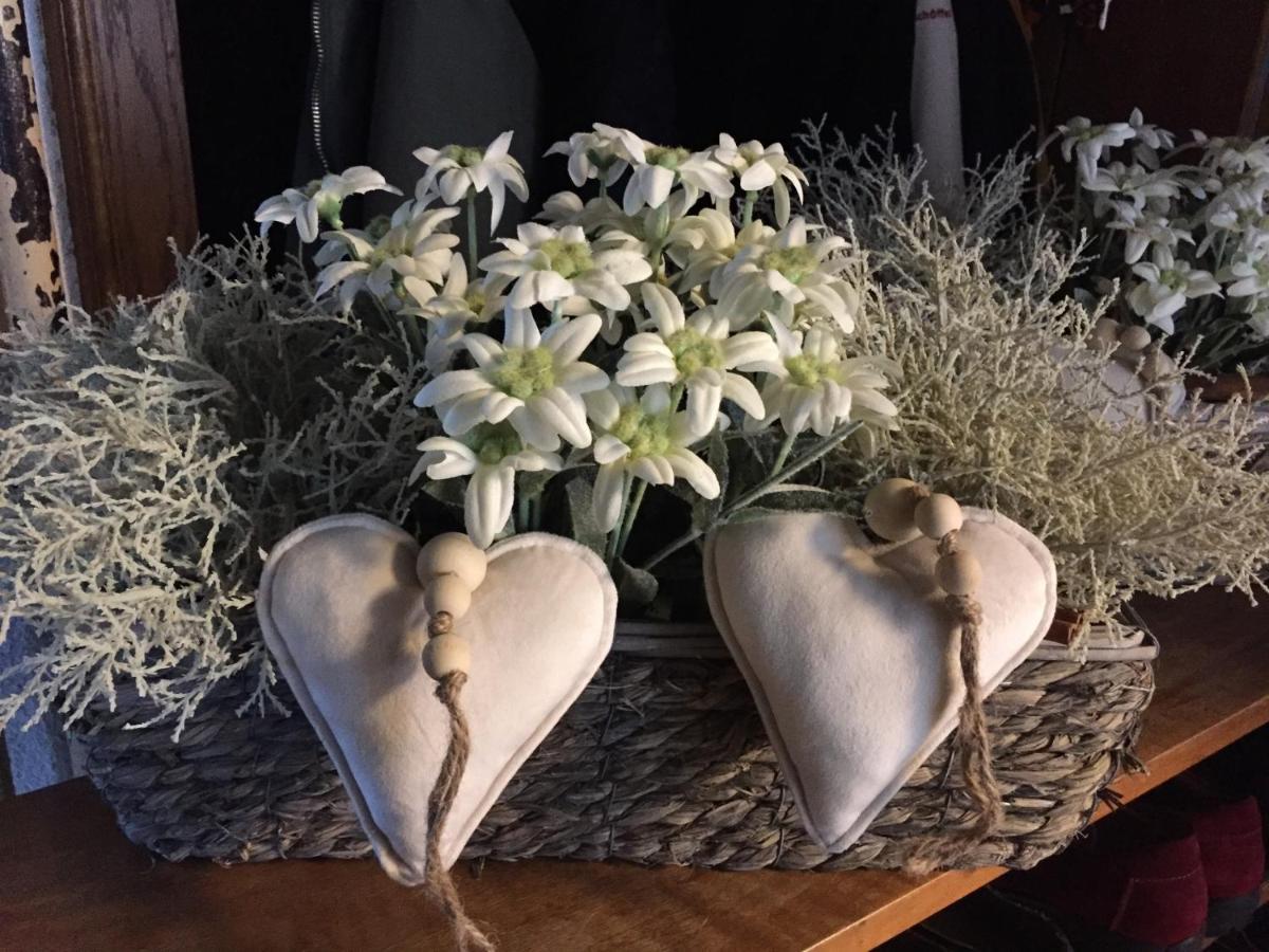 Apart Raich بروتز المظهر الخارجي الصورة
